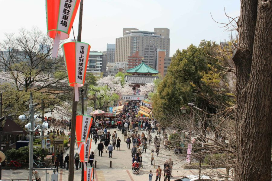 View of the shrine and stands