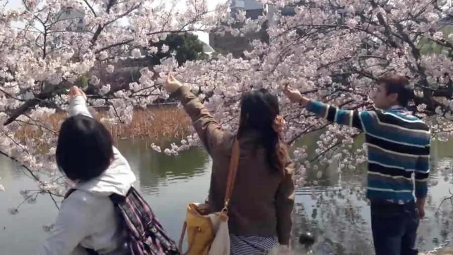 Feeding birds screenshot