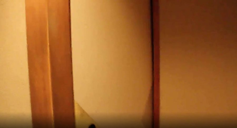 Hakone ryokan screenshot