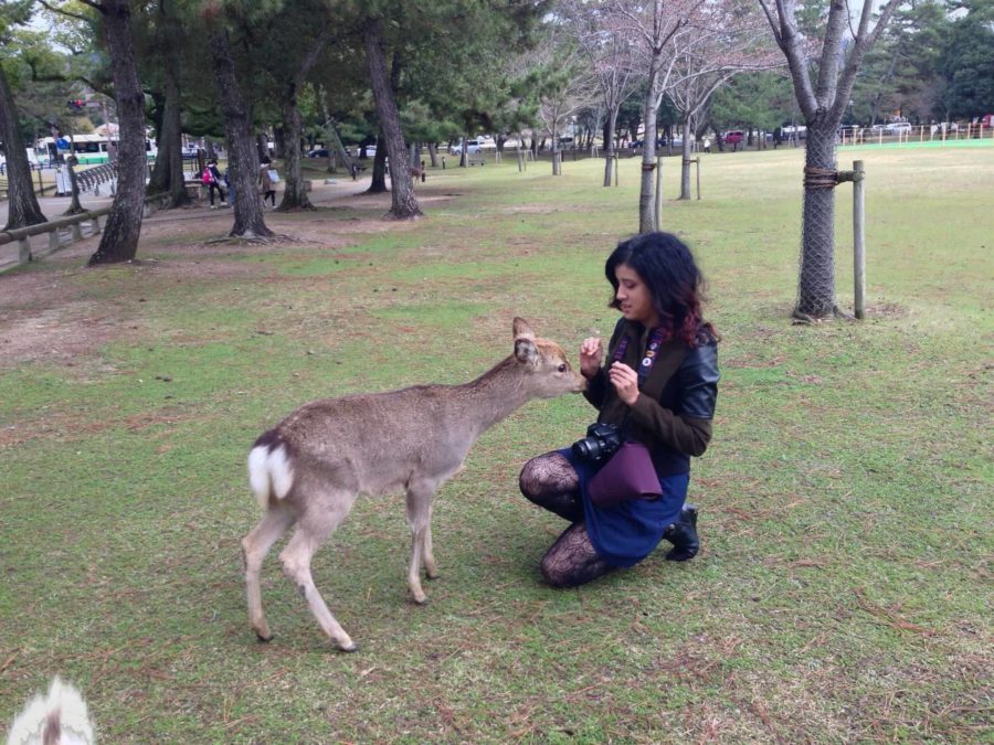 Marilyn feeding a small deer